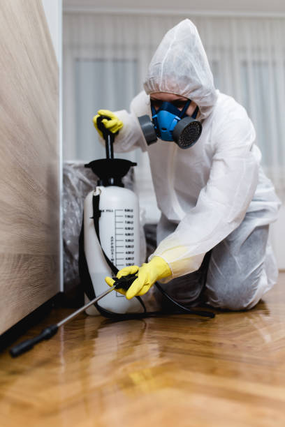 Best Bed Bug Extermination  in Joplin, MO